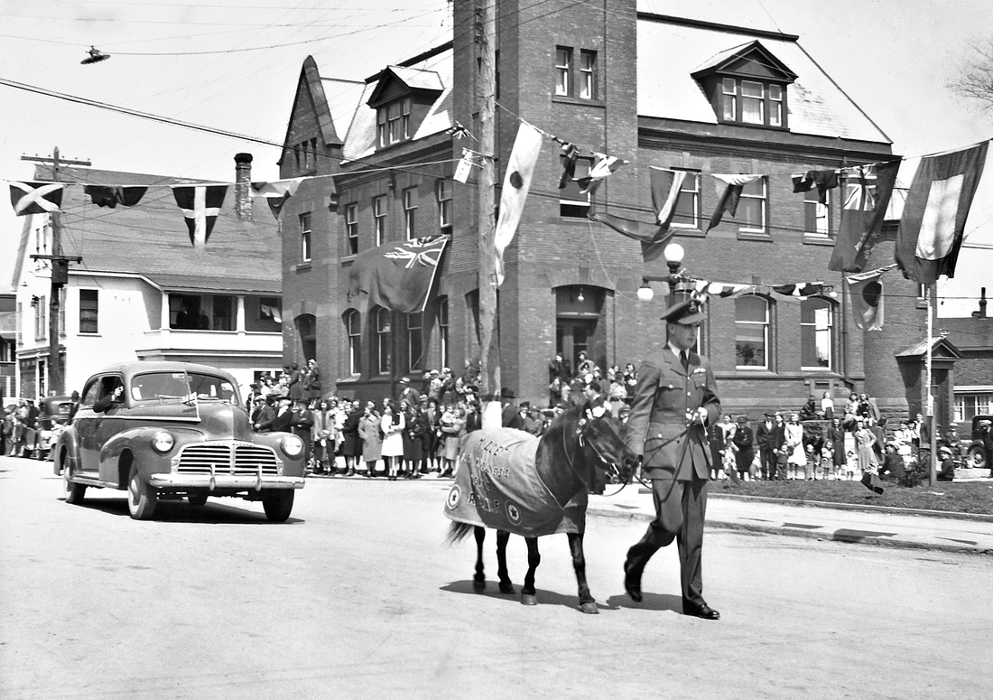 Midget leads the Victory in Europe parade, escorted by Pilot Officer Tom Brown